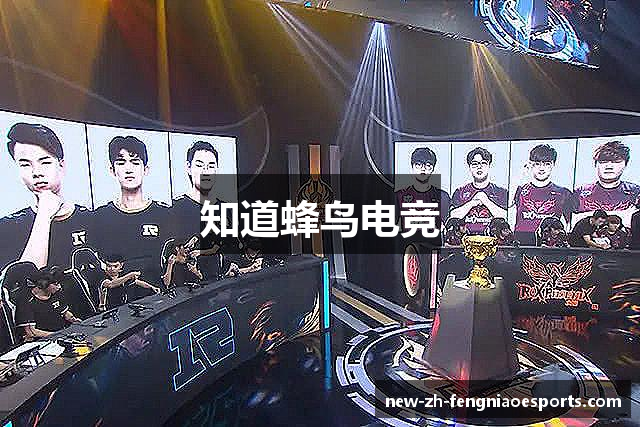 知道蜂鸟电竞